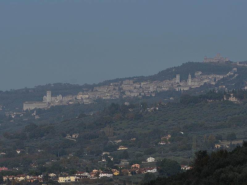 MAK_2932.jpg - Assissi vista da Spello.