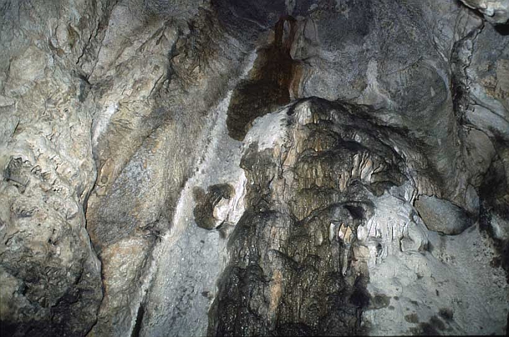 Bergeggi-12.jpg - e la grotta potè essere utilizzata dagli uomini primitivi come ricovero.